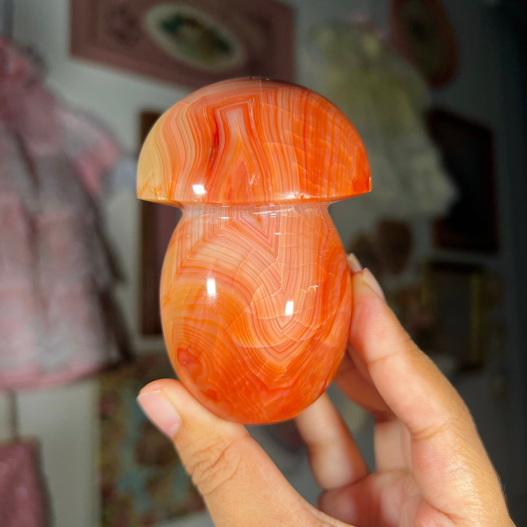 Carnelian Mushroom