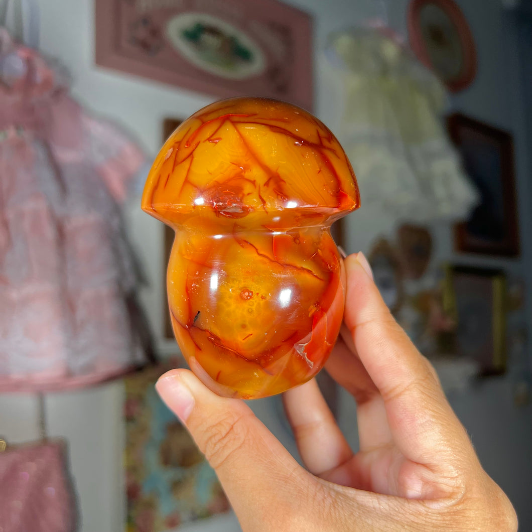 Carnelian Mushroom